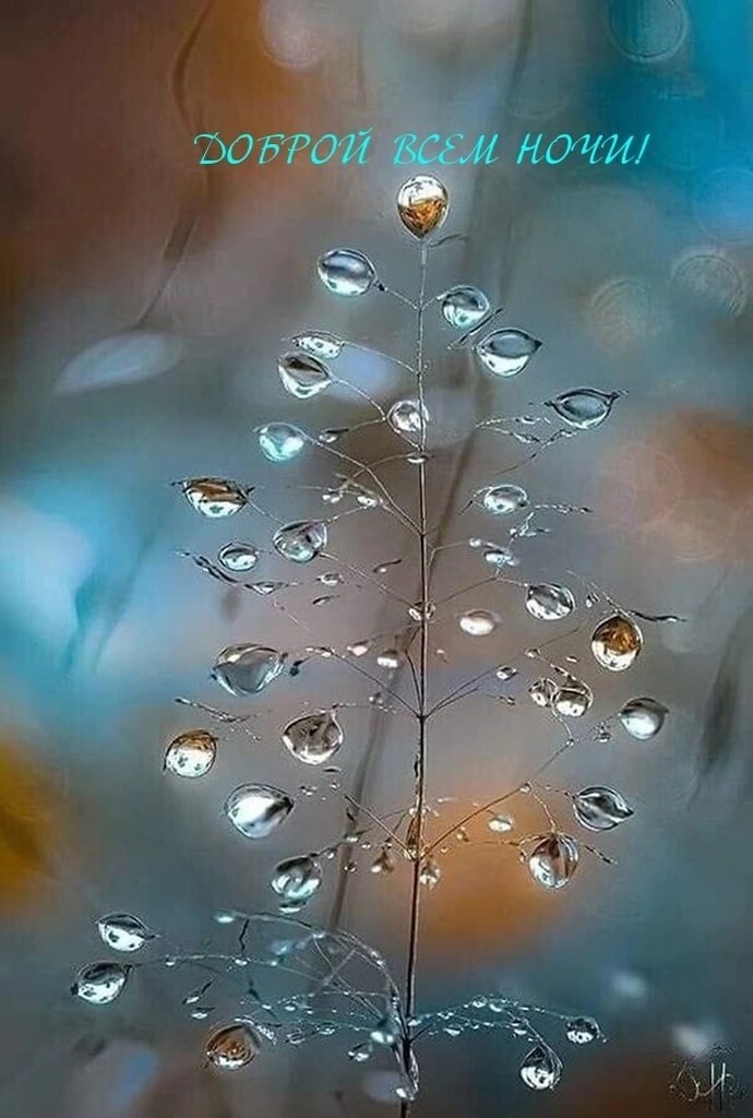   ,    . - 4  2023  19:57