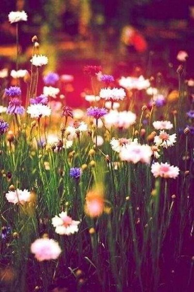 Просто эта секунда — и есть твоя жизнь!...(с).____________________________ - 4