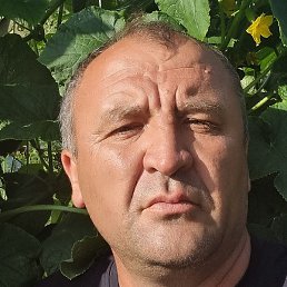 ������, ������, 48 ���