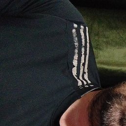 �������, ������, 46 ���