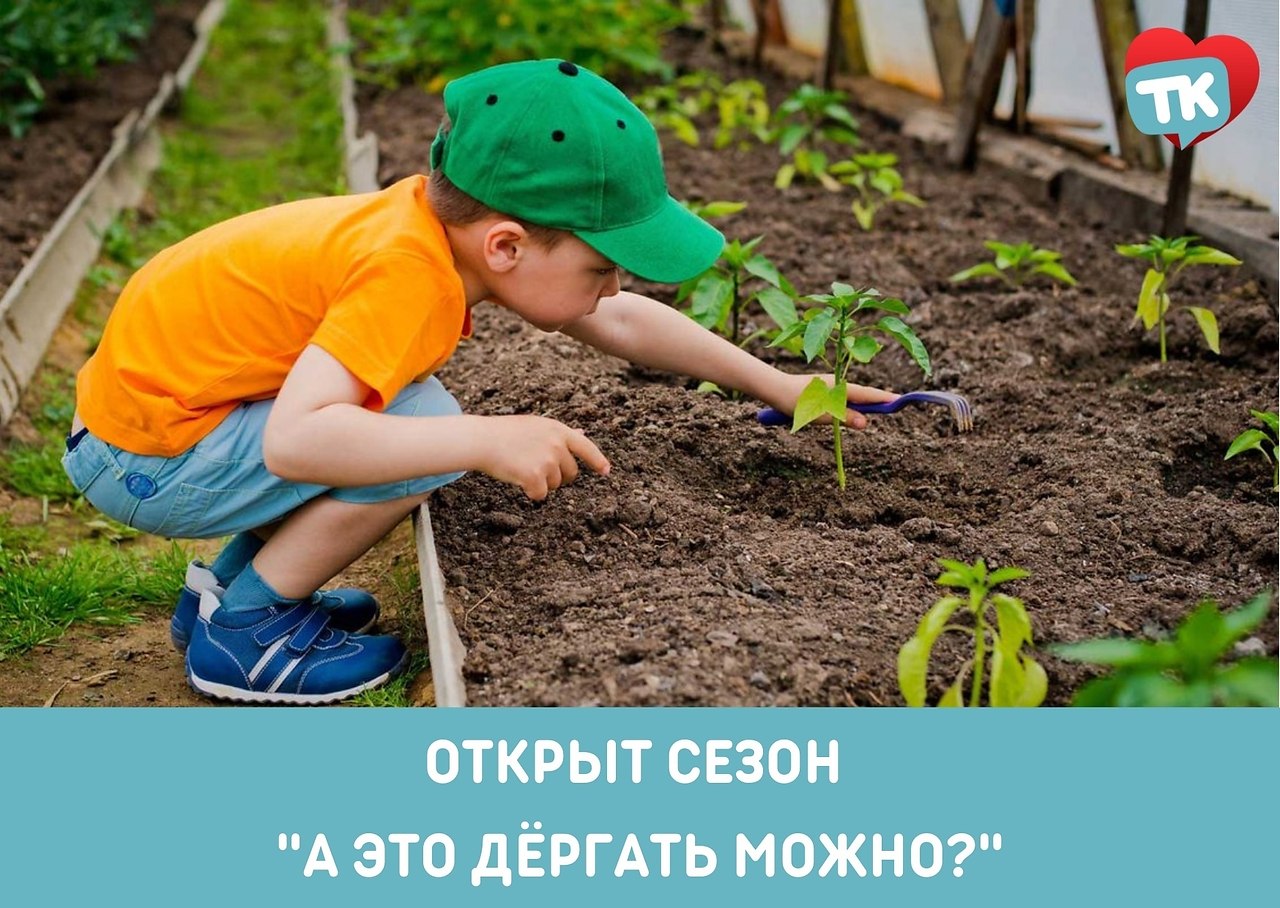 Какие планы на выходные, кировчане? #типичный_юмор | ТИПИЧНЫЙ КИРОВ ...