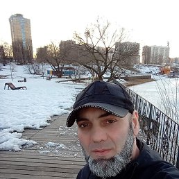 �����, ������, 46 ���