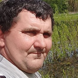 �������, ������, 51 ���