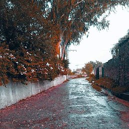���� Mak, �������, 22 ���� - ��������� 3 ������� 2023