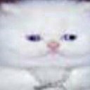 ���� ����, ������, 22 ���� - ��������� 12 ���� 2023 � ������ ���� ����������