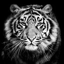 ���� �����, �����, 32 ���� - ��������� 12 �������� 2023 � ������ ���� ����������
