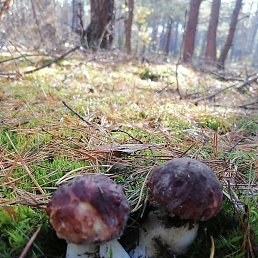 ������, �����, 57 ���