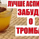  Alex, , 73  -  17  2023