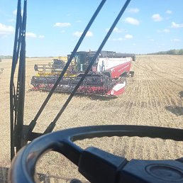 ���� �����, ������, 37 ��� - ��������� 14 �������� 2023