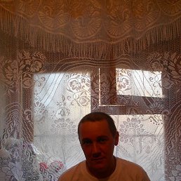 ���������, ����������, 43 ����