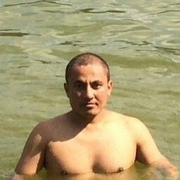 ������, �������, 38 ���