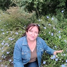 ����, ������, 55 ���