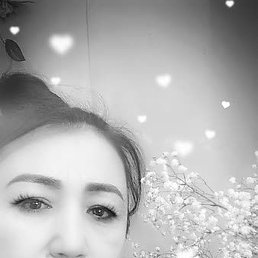 ����, �����-���������, 48 ���