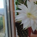���� ����, ���������, 50 ��� - ��������� 6 �������� 2023 � ������ ���� ����������