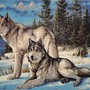  , -, 52  -  31  2023    