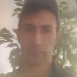 ������, ������, 51 ���