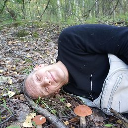 �������, �����-���������, 54 ����