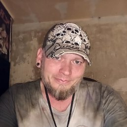 ������, �����, 41 ���