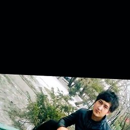 �������, ���������, 31 ���