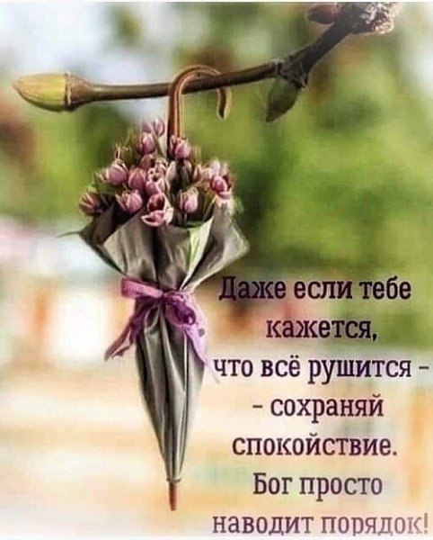 ���� ��������� - 30 ������ 2023 � 18:18