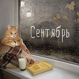 Iriska, ������