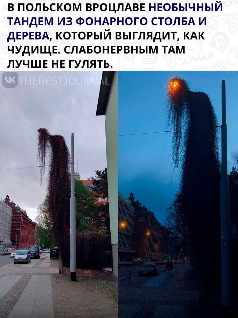  , ,   .      
