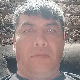 �����, ������, 49 ���