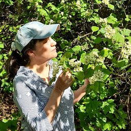 ���������, �������, 48 ���