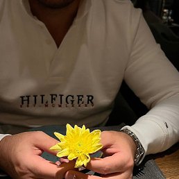 ������, ������, 23 ����