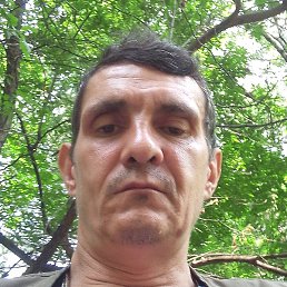 ������, ������, 47 ���