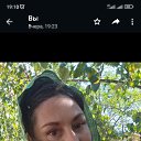 ���� ������, ����, 54 ���� - ��������� 13 �������� 2023 � ������ ���� ����������