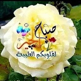 . Abbs, ������, 37 ���