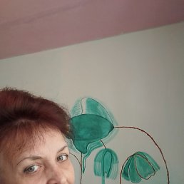 ������, ������, 61 ���