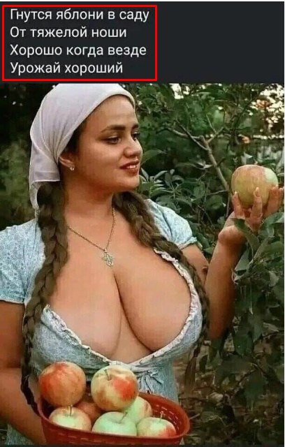 19 августа был Яблоневый спас! Вспомнила прикольный репост: Вчера не стала - взрослею, не хотелось ...