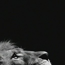 �������, ������, 31 ���