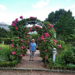 �����, �����������, 74 ����