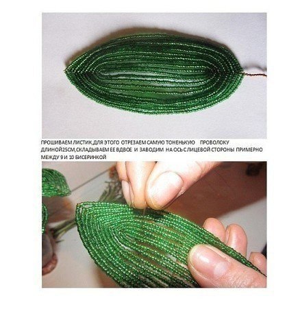 ����� �������� �� ������. ������-�����. - 2