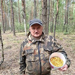 �������, �����, 66 ���