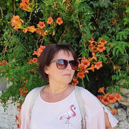 �����, ������, 60 ���