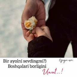 ���� Saydillo, �����, 38 ��� - ��������� 7 ������� 2023