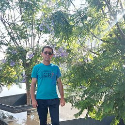 �������, �������, 49 ���