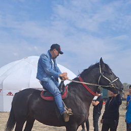 ����, ������, 37 ���