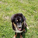 ���� �������, ������������, 42 ���� - ��������� 18 ����� 2023