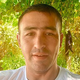 �����, �����������, 40 ���