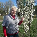 ���� ������, ����� - ��������� 29 ������ 2023 � ������ ������ ��������