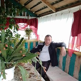 �����, ��������, 52 ����