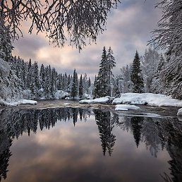 �����, ������������, 92 ����