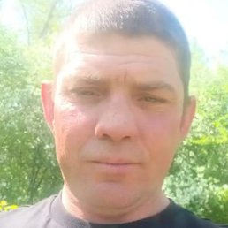 �����, �����, 40 ���