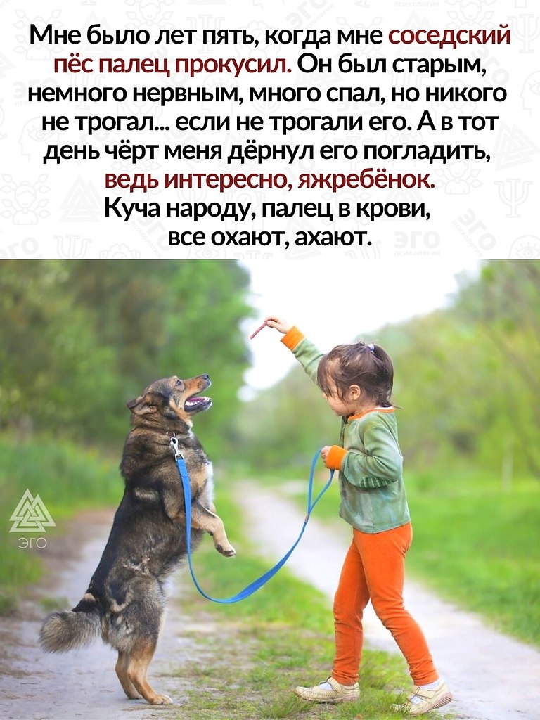     , ,   ,    .