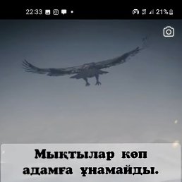 ���, �����, 33 ����